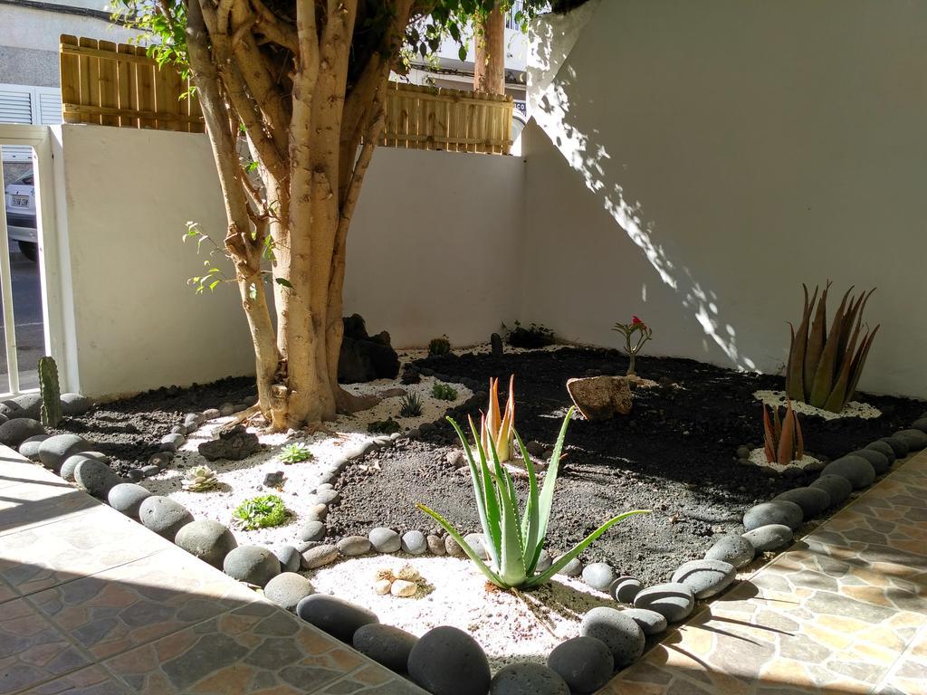 Greentree House Corralejo Bagian luar foto