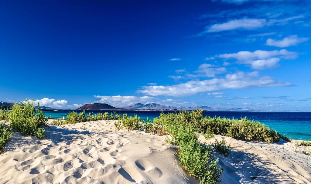 Greentree House Corralejo Bagian luar foto